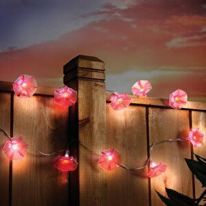 10 solárních světel Květy svlačec