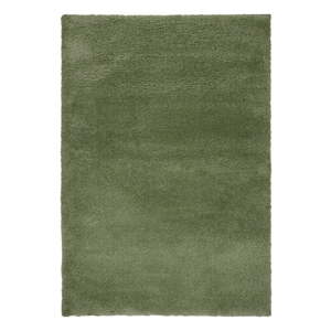 Zelený koberec 120x170 cm – Flair Rugs