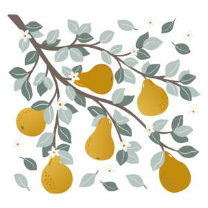 Arch samolepek 54x50 cm Pears On A Branch – Lilipinso